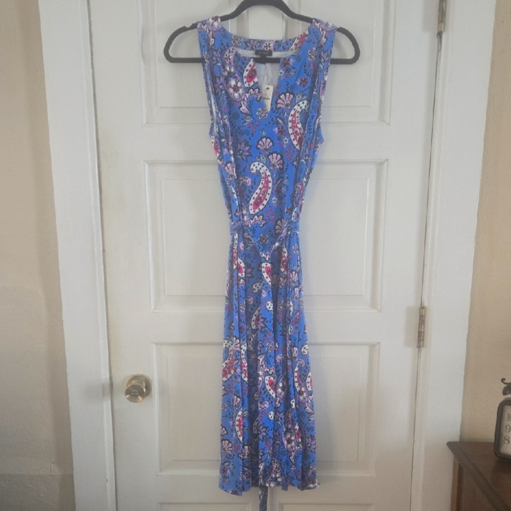 Talbots Paisley Blue and Pink Midi Dress